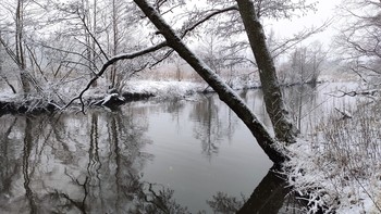 Зимнее утро. / Речка Черная прекрасна ранним зимним утром. Природа только начинает просыпаться! Зима прекрасна своими неповторимыми красками.