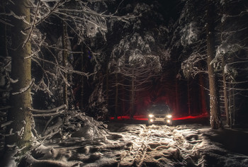 &nbsp; / Зима. Ночь. Лес. Беларусь