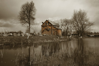 Сельские картинки. / Снято в Беларуси.