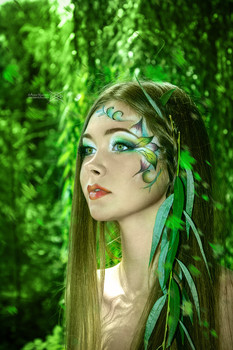 Лесная фея - Вораевич / Лесная фея: https://www.voraevich.com/ru/forest-fairy-ru/