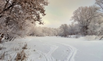 Январь украсил природу инеем и снегом / Январь украсил природу инеем и снегом
