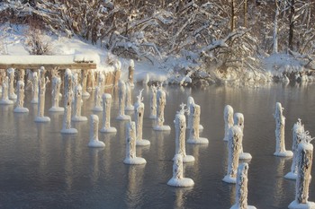 На озере Белом / Бывший мост
