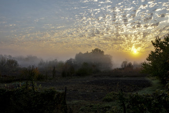 Рождение нового дня / утро,туман