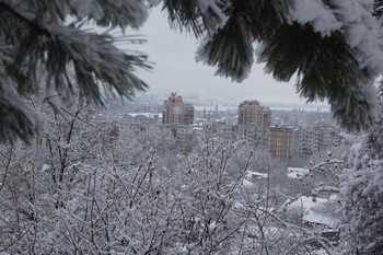 Зима в феврале / В феврале тёплая и холодная погода часто меняются.Снова наступает зима...