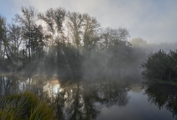 Октябрьские туманы / Осень 2020.