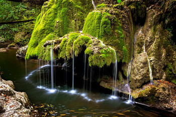 Лесной водопад / Природа, водопад, река, вода, осень
