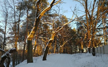 В лучах заката .... / и позолоте солнца