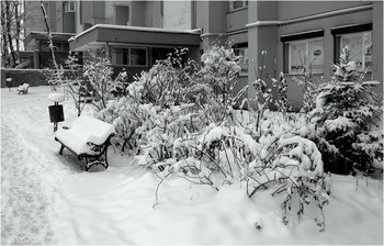 а у нас во дворе... / [img]https://i.imgur.com/ufJYucy.jpg[/img]