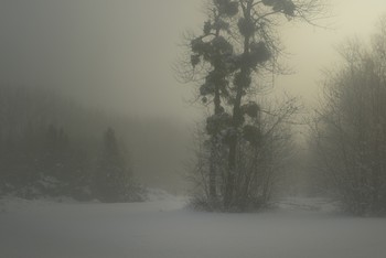 Зима / Туманный рассвет