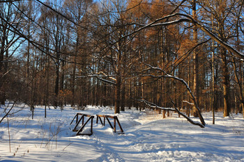 Зимний парк / ...