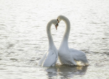 Сердечная любовь / Весна близко