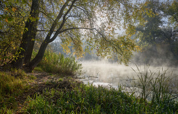 В тени под кронами деревьев... / Осень 2020. Река Северский Донец.