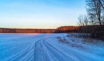 Зимними дорогами в даль лесную вечером... / ...