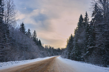 Зимняя дорога / Тверская область