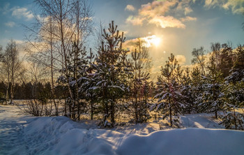 Солнце vs. Мороза # 1 / 06 февраля 2021 года. Дальний восток Московской области