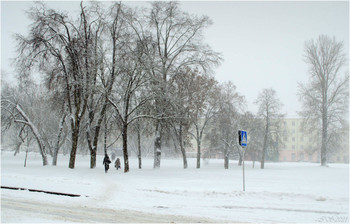 в городе снегопад / ***