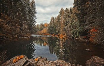 осень / Река протекающая через лесной массив.