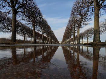 В парке весеннем........ / Петергоф. Верхний сад. Апрель