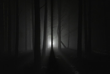 В темном лесу / Dark forest