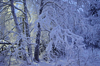 снежно / снег, вечер и фонарь