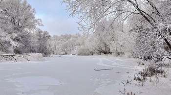 Зимние украшения / Зимние украшения