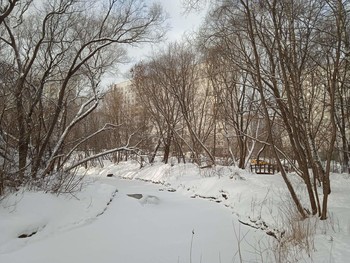 &nbsp; / река в старом парке зимой