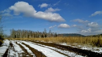 Лесной тракт / ***