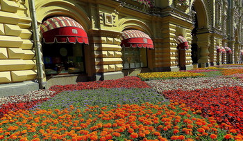 ЛЕТО. / У ГУМа.