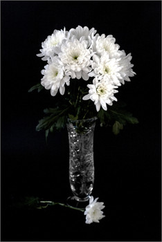 &nbsp; / Натюрморт