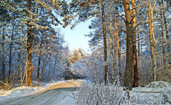 зимний / Новосибирск