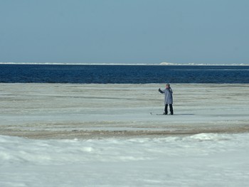 Тонкая грань / 23 апреля 2017 года. Белое море о. Ягры г. Северодвинск. Море в тот год вскрылось рано. Однако самые отчаянные лыжники продолжали лыжный сезон)))