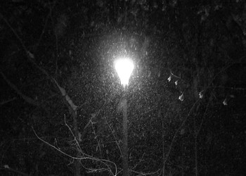 Метель / покровско-стрешнево, москва