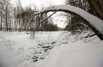 &nbsp; / После снегопада на реке Клязьма