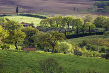 &nbsp; / Тоскана