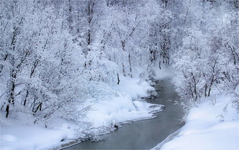Бежит ручей не замерзая ! / ***