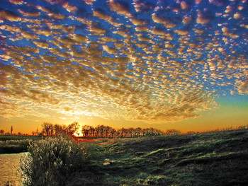 Какое небо! / Вечер