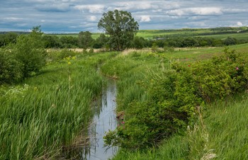 речка Ушня / речка Ушня,Татарстан,с.Ленино-Кокушкино