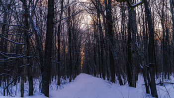 Последние краски вечера. / ...