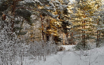 &nbsp; / новосибирск