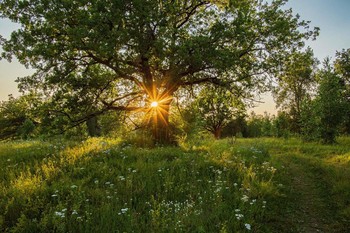 &nbsp; / окрестности п.Урняк,Татарстан