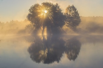 Яркость / Колоритный рассвет с туманом над рекой Псел