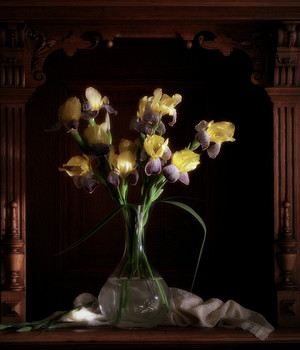 Ирисовая ниша / 2020