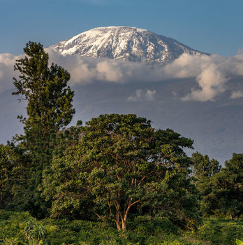 Килиманджаро / Килиманджаро-Танзания