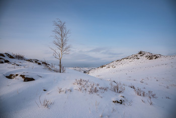 Молодая березка / Зимнее
А вот летнее (я его уже показывала)
[img]https://i.imgur.com/XlchhkQ.jpg[/img]