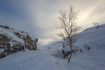...ветры февраля / ***