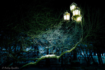 Ночь, улица, фонарь, февраль / Снято в Екатерининском саду, город Санкт-Петербург