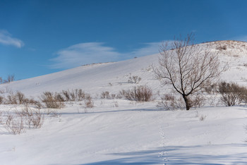 Зимний этюд / Этот же вид через пару часов прогулки

[img]https://i.imgur.com/BJDgWIW.jpg[/img]