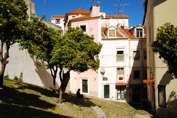 Апельсины. / Там. где жизнь остановилась.