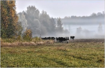 ...... Утро ...... / фрагмент пейзажа этюд