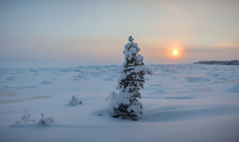 Прощание славянки. / Берег Белого моря. Февраль 2021. Район Беломорска.